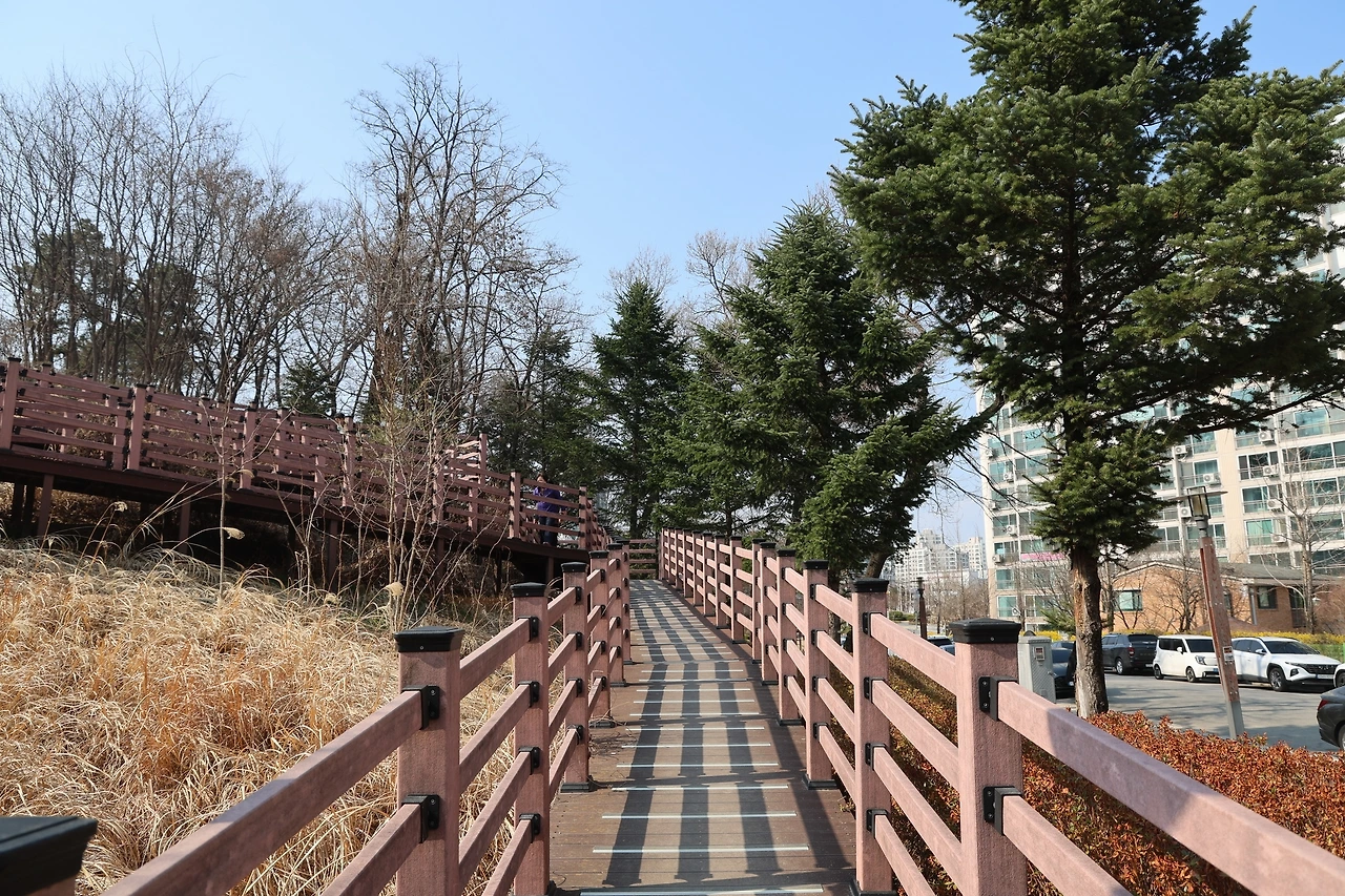 0R5A5506_новый размер.JPG