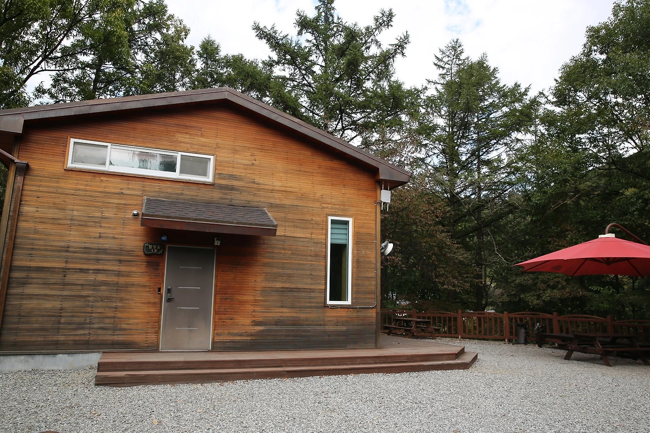 MG0A5580_новый размер.JPG