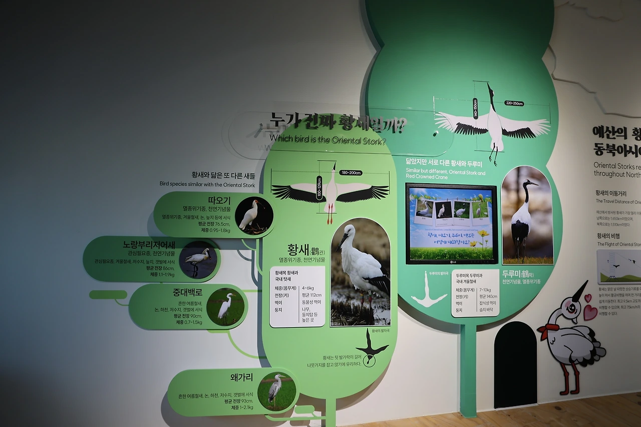 0R5A9705_новый размер.JPG