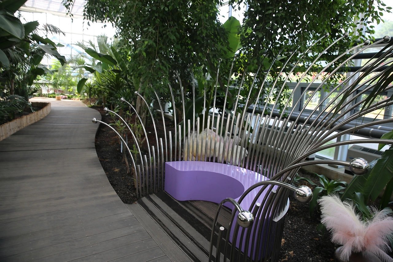 MG0A0445_новый размер.JPG