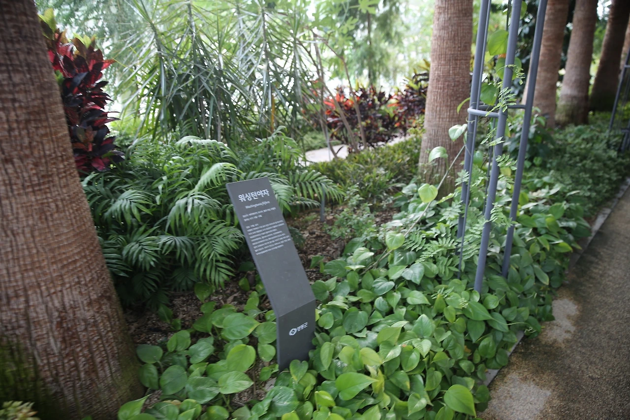 MG0A4076_новый размер.JPG