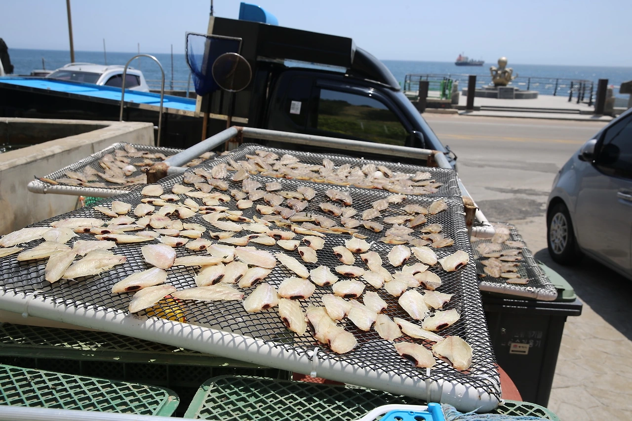 MG0A0230_новый размер.JPG