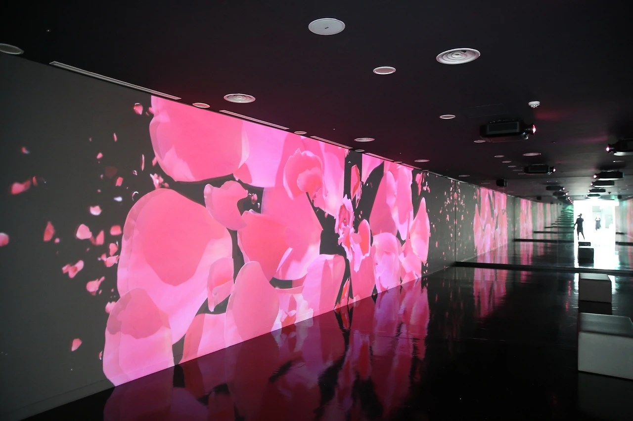 MG0A9580_новый размер.JPG