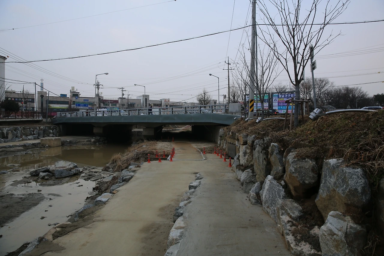 MG0A5581_новый размер.JPG