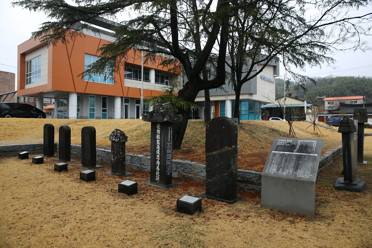 MG0A0367_новый размер.JPG