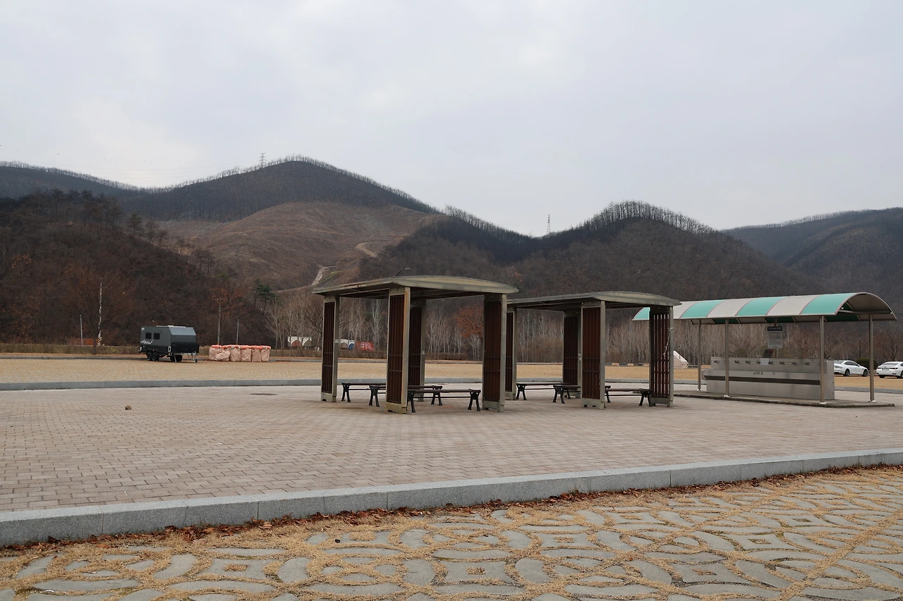 0R5A6622_новый размер.JPG