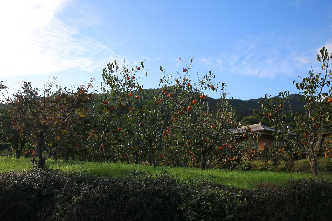 MG0A7967_новый размер.JPG