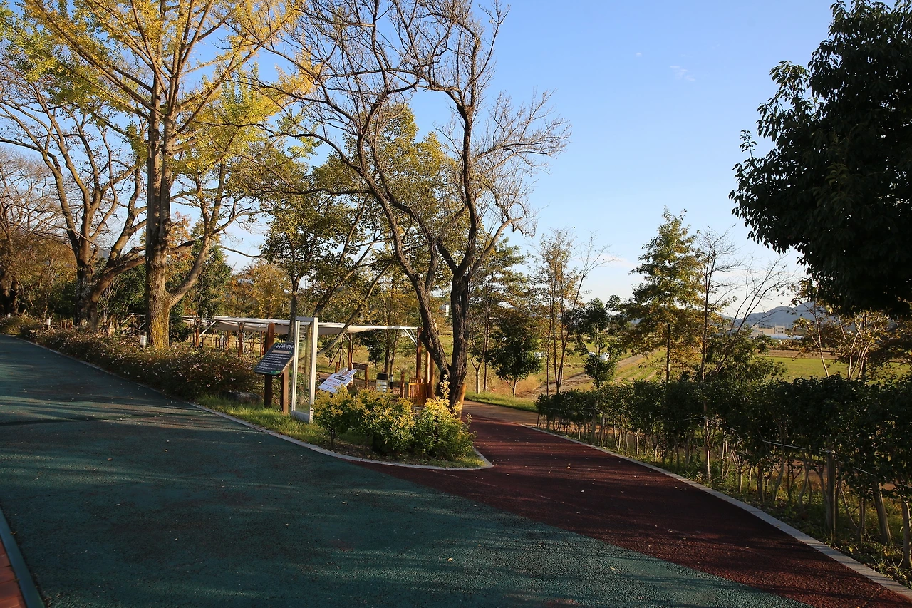 MG0A8053_новый размер.JPG