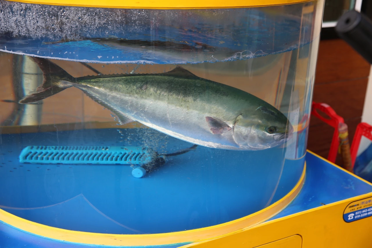 MG0A6603_новый размер.JPG