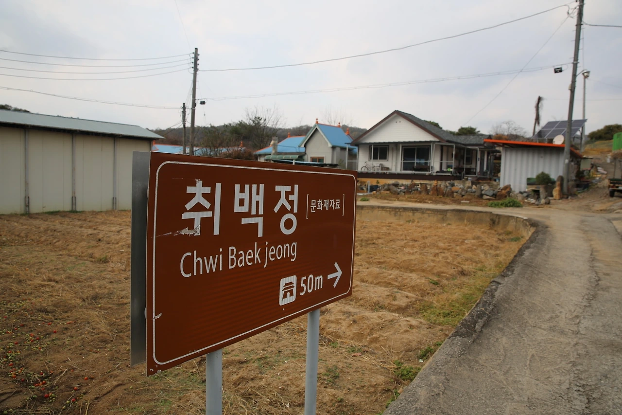 MG0A1241_новый размер.JPG