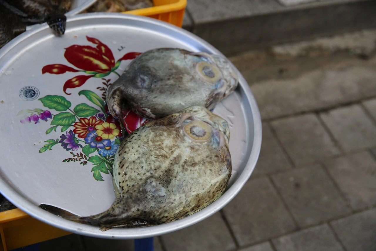 MG0A6468_новый размер.JPG