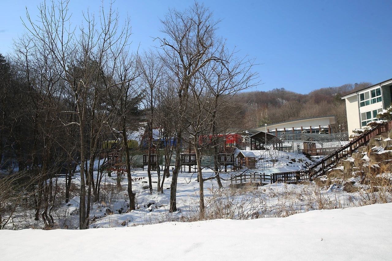 MG0A5029_новый размер.JPG