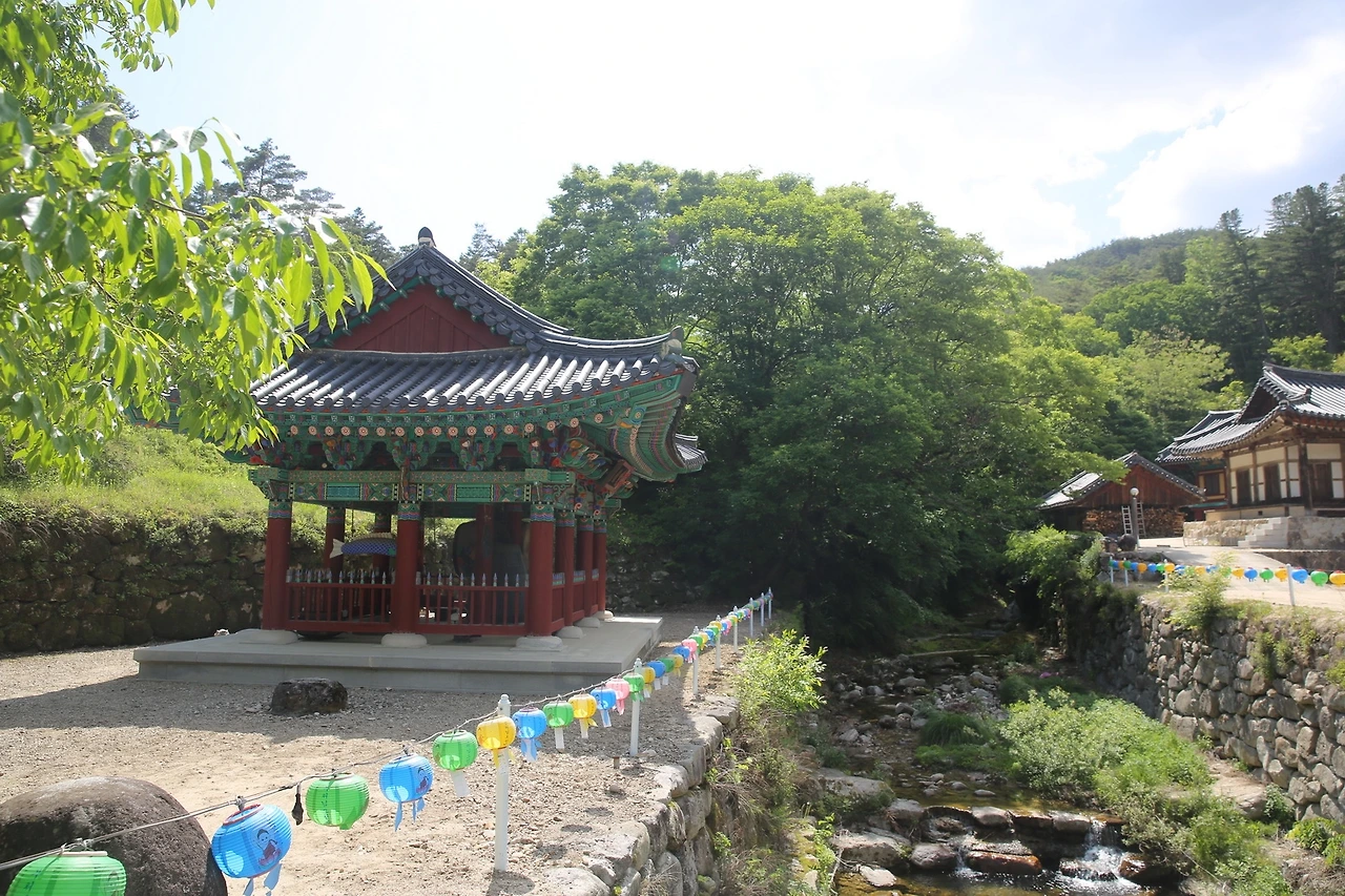 MG0A9390_новый размер.JPG