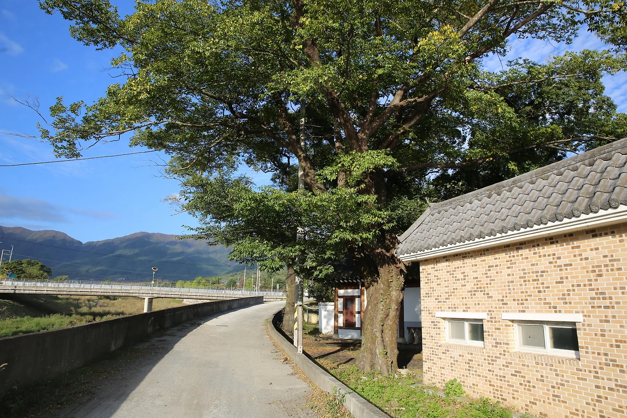 MG0A7997_новый размер.JPG