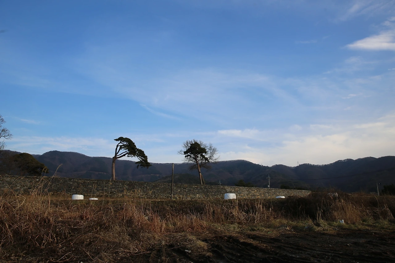 MG0A6903_новый размер.JPG