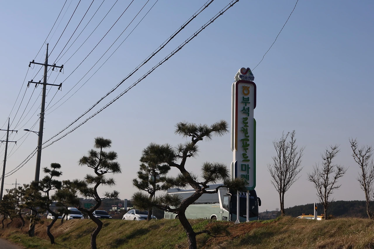 0R5A6099_новый размер.JPG