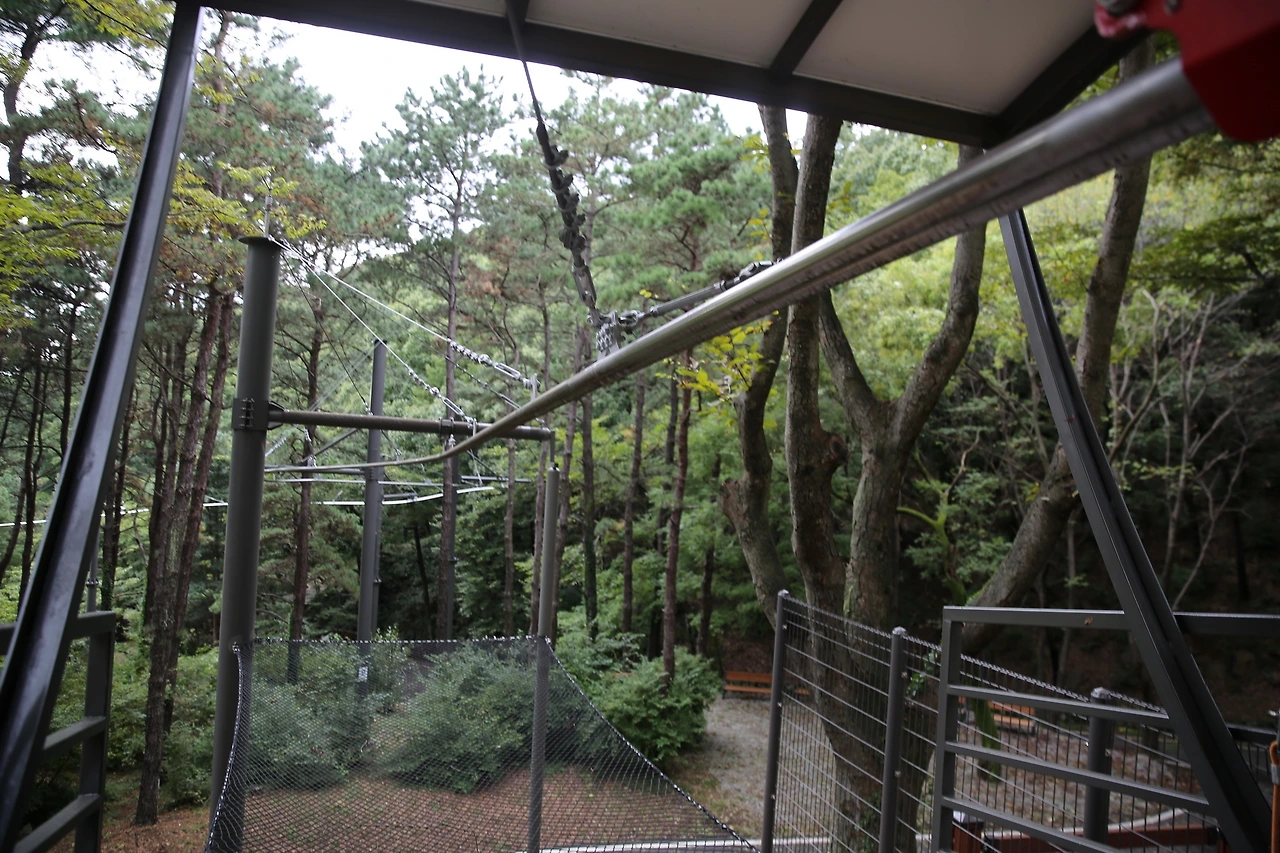 MG0A1048_новый размер.JPG