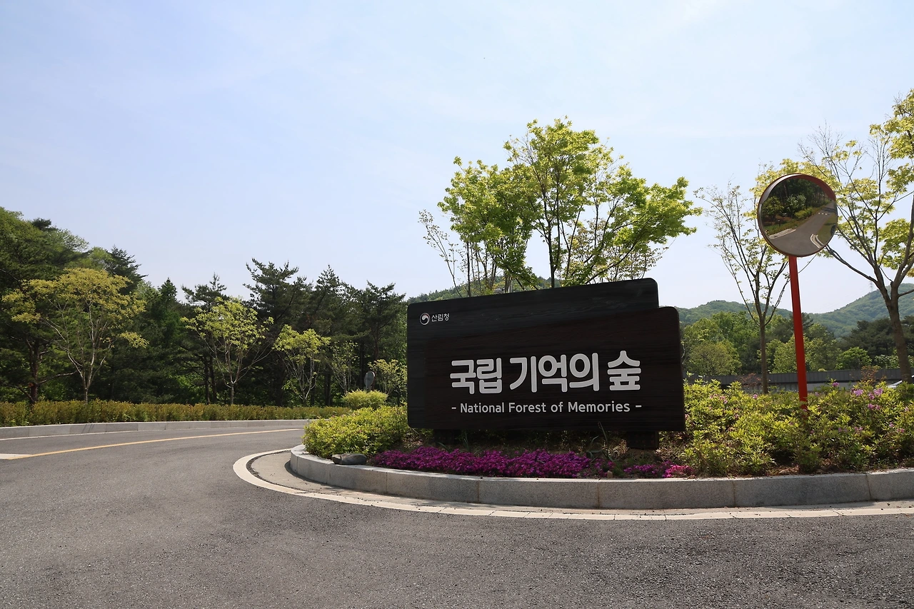 0R5A0390_новый размер.JPG