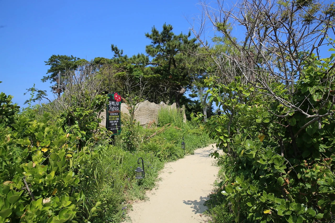 MG0A5909_новый размер.JPG