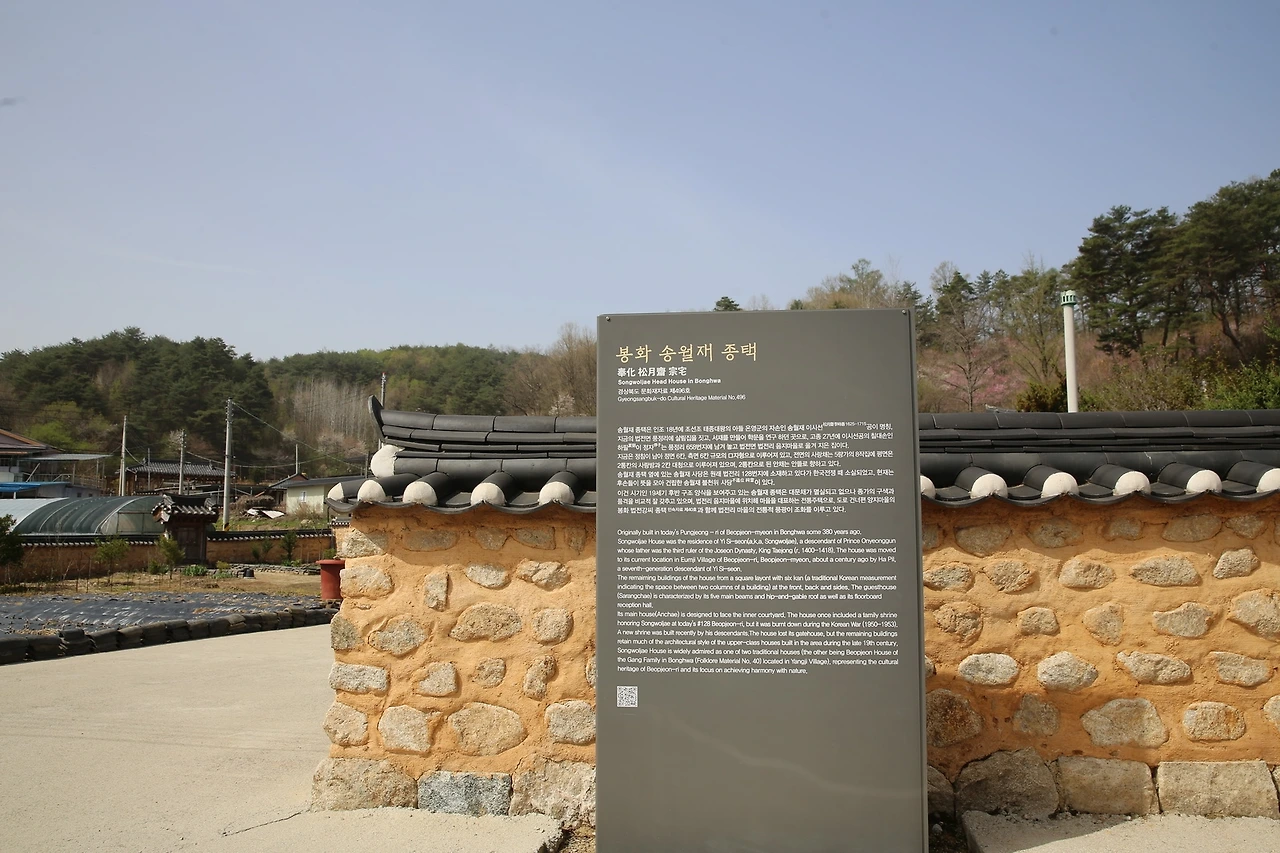 MG0A0102_новый размер.JPG