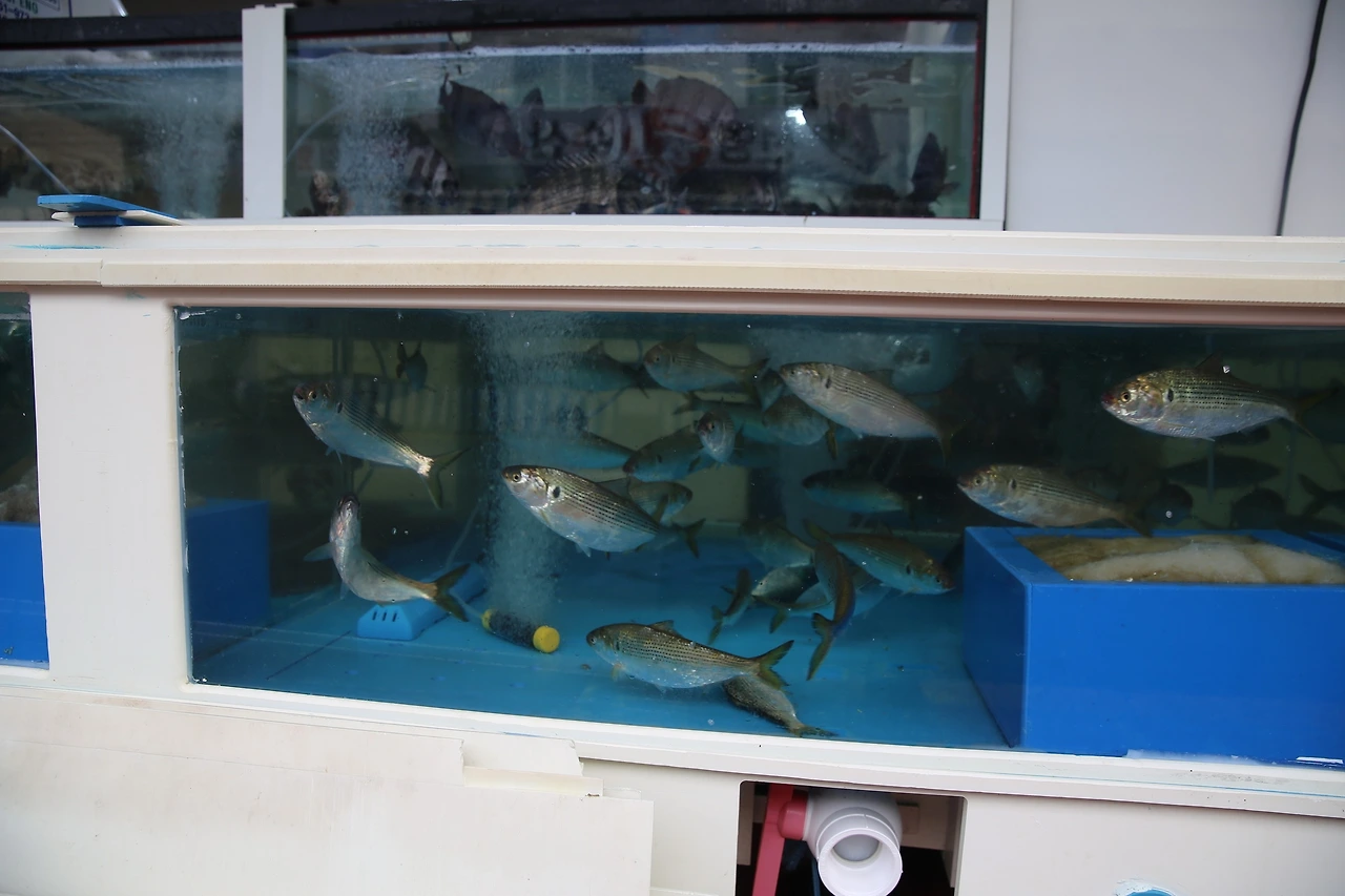 MG0A0383_новый размер.JPG