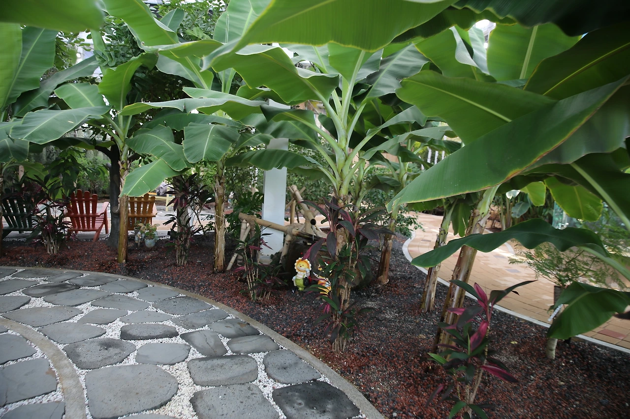 MG0A0451_новый размер.JPG