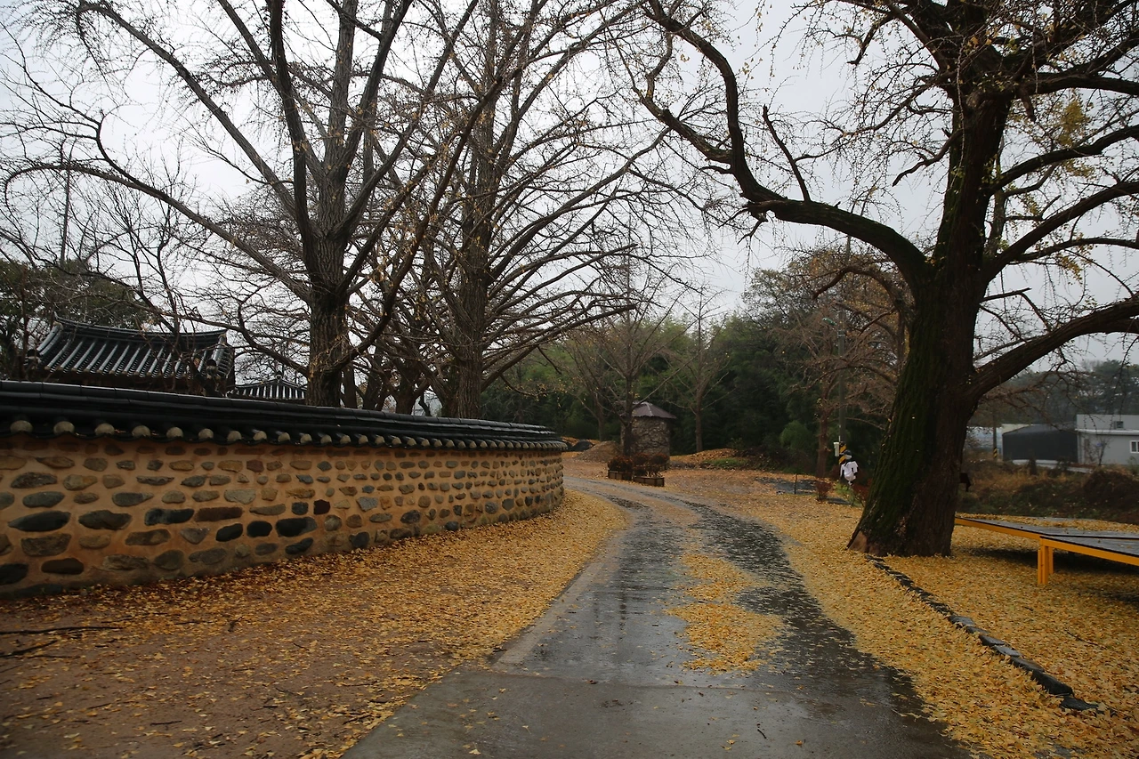 MG0A0853_новый размер.JPG