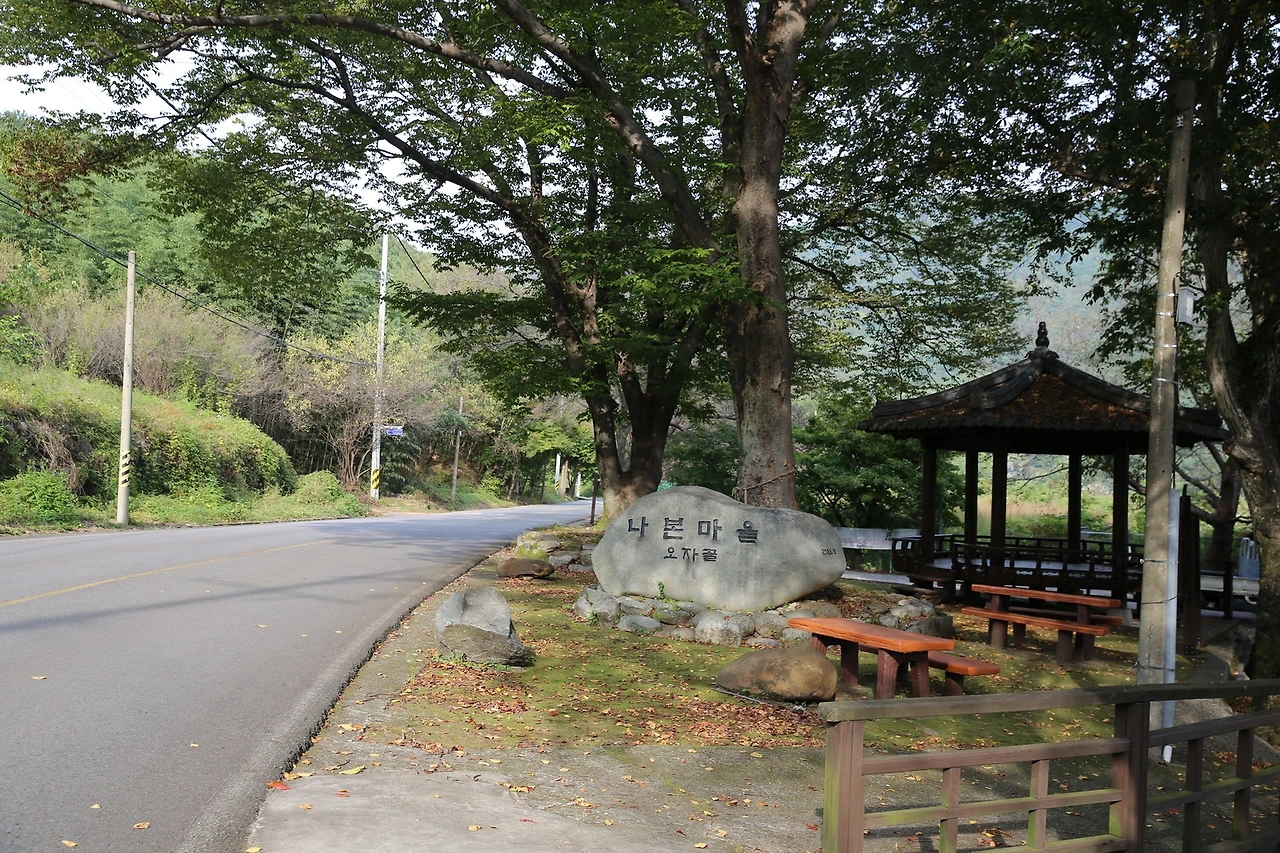 MG0A5850_новый размер.JPG