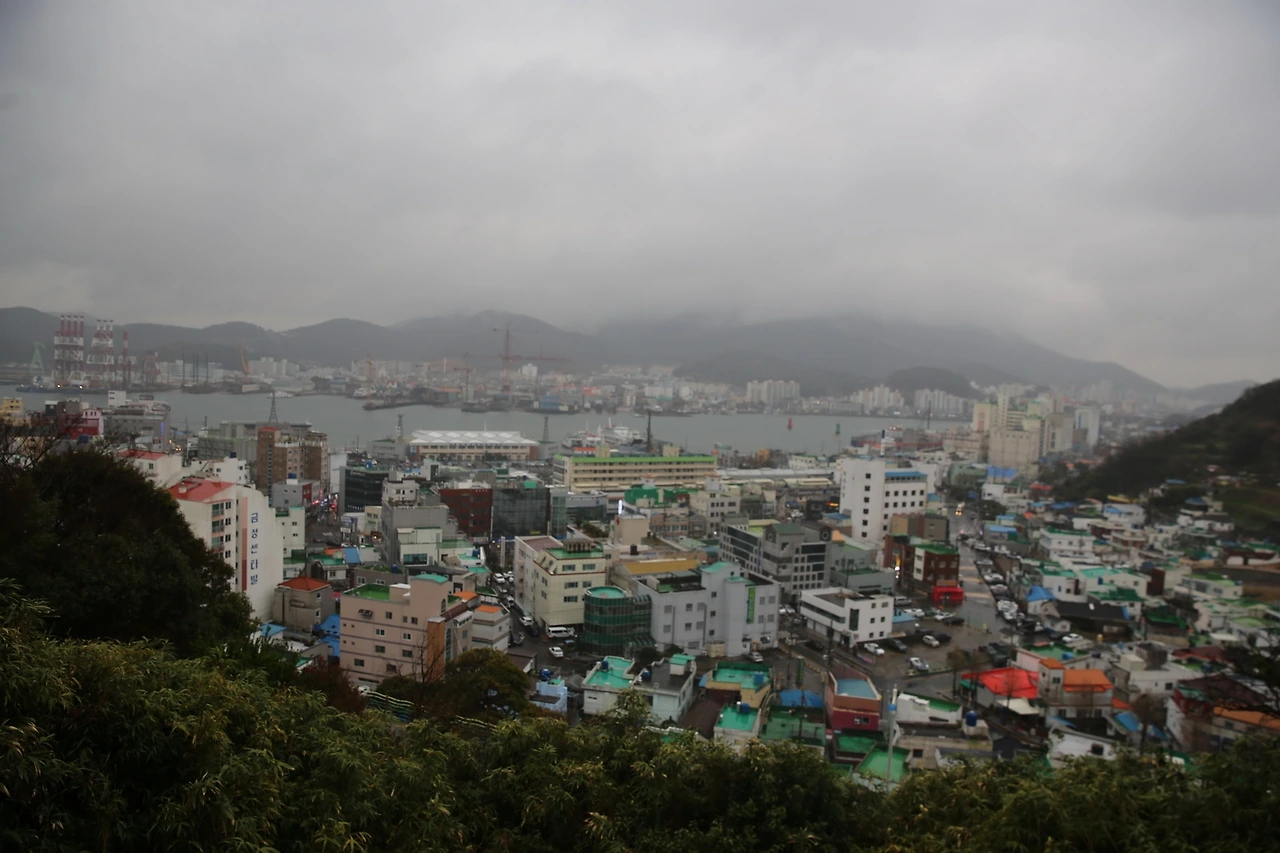 MG0A6523_новый размер.JPG