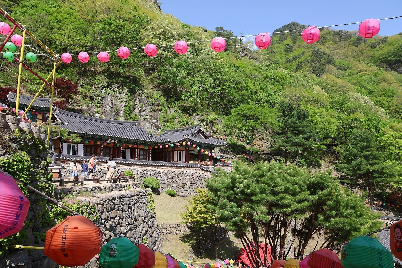 0R5A9622_новый размер.JPG