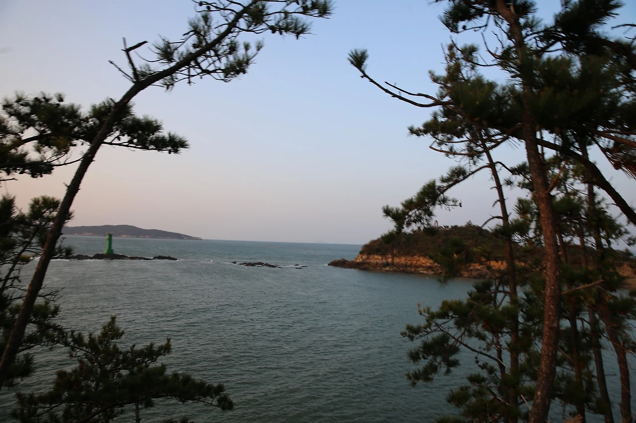 MG0A9072_новый размер.JPG