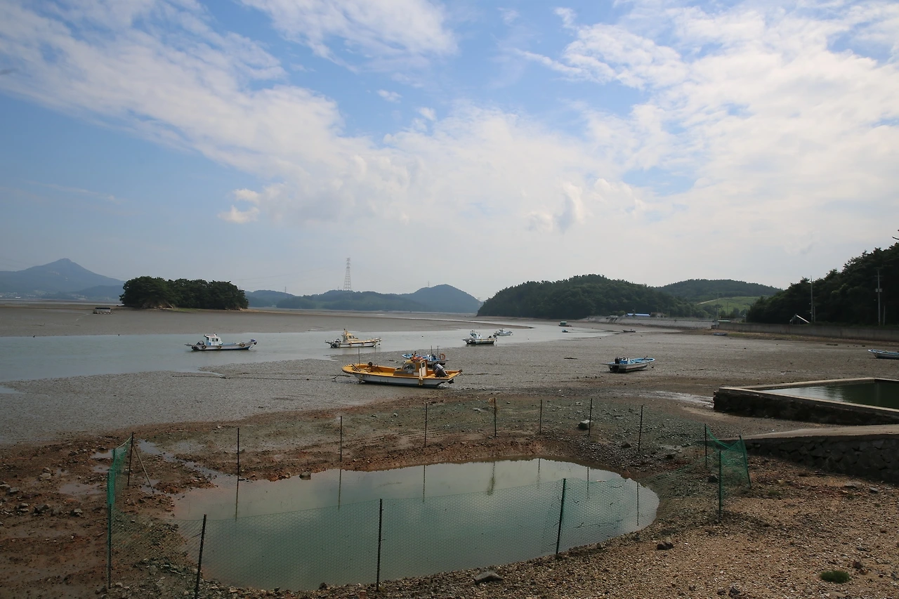 MG0A7032_новый размер.JPG