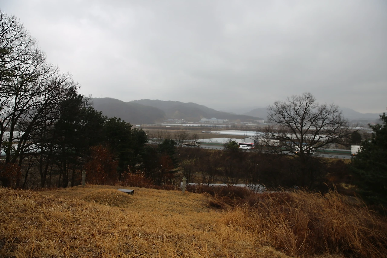 MG0A9893_новый размер.JPG