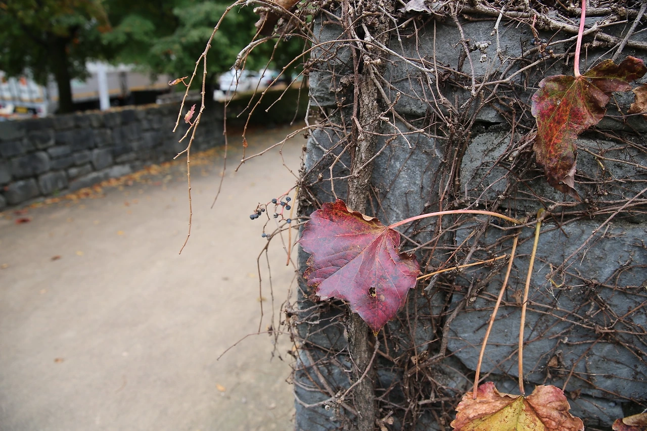 MG0A7716_новый размер.JPG