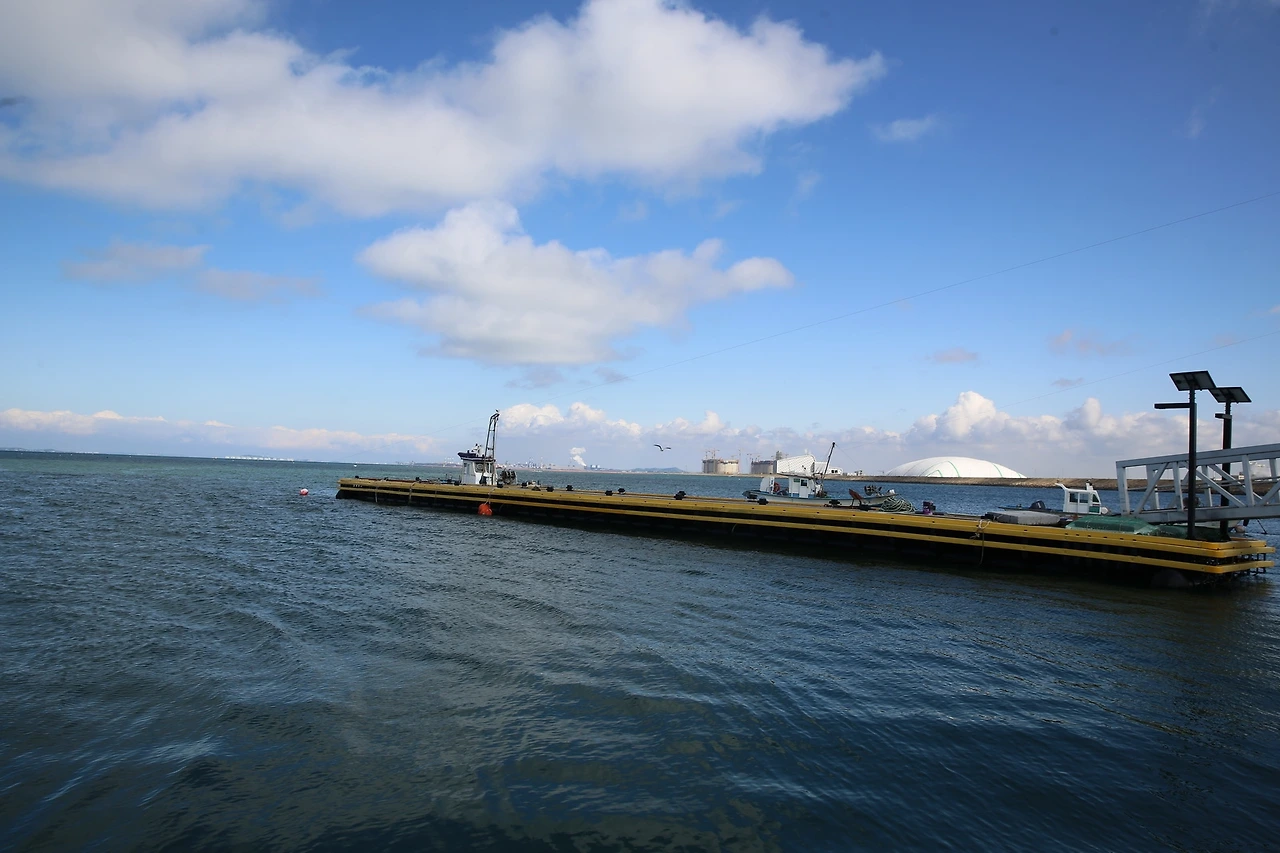 MG0A0975_новый размер.JPG