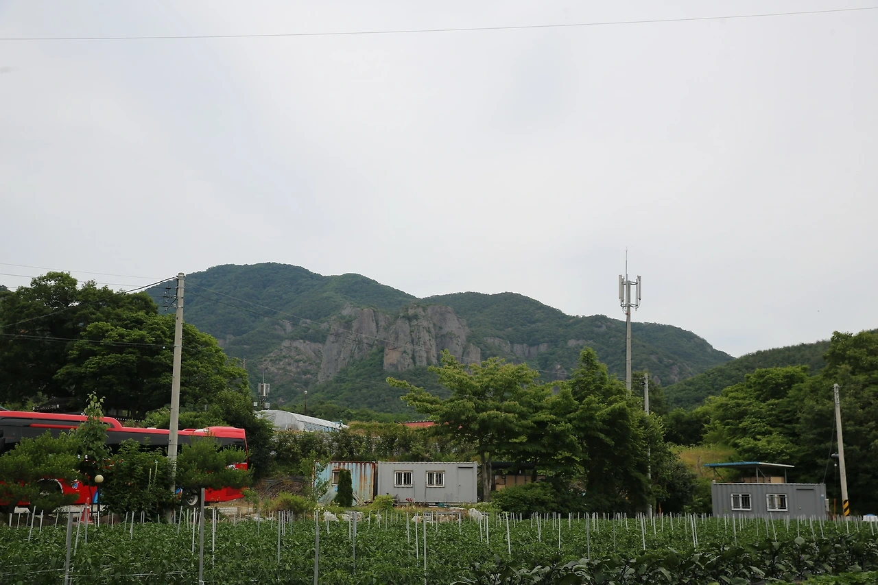 MG0A8587_новый размер.JPG