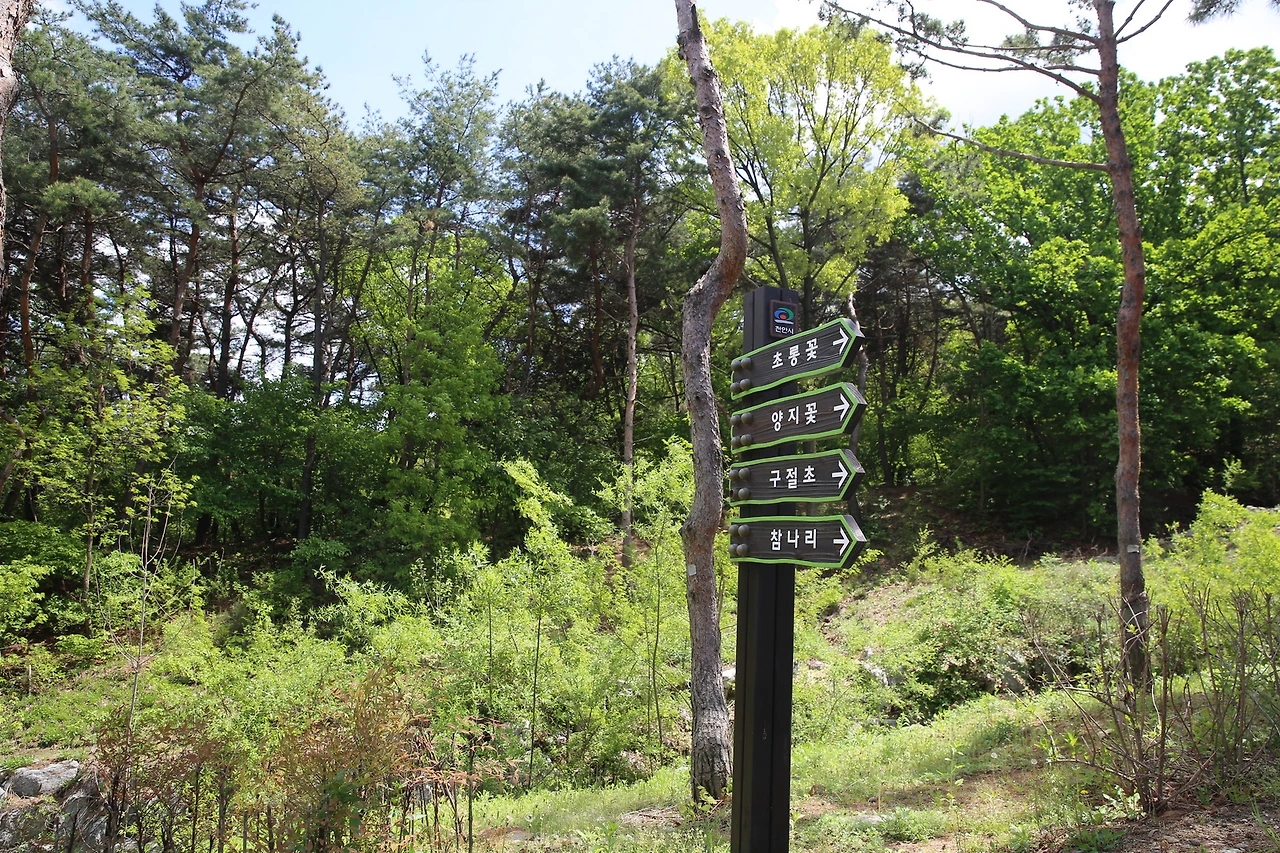자연휴양림02.JPG