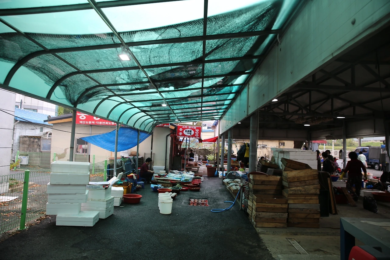 MG0A0439_новый размер.JPG