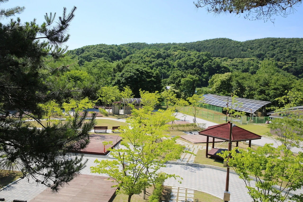 MG0A7942_новый размер.JPG