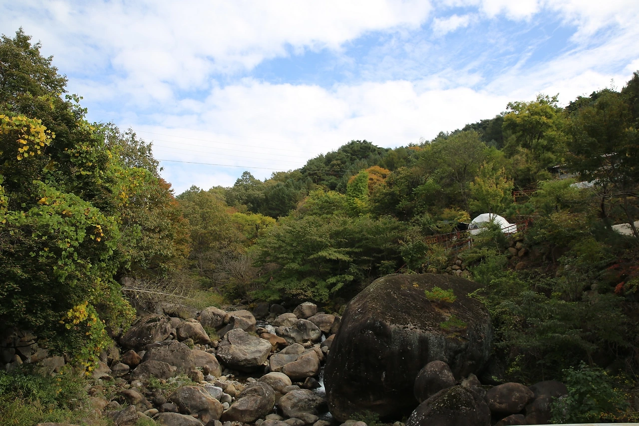 MG0A7854_новый размер.JPG