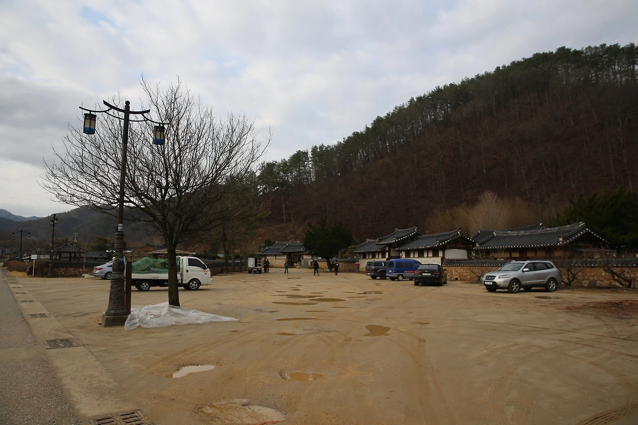 MG0A2481_новый размер.JPG