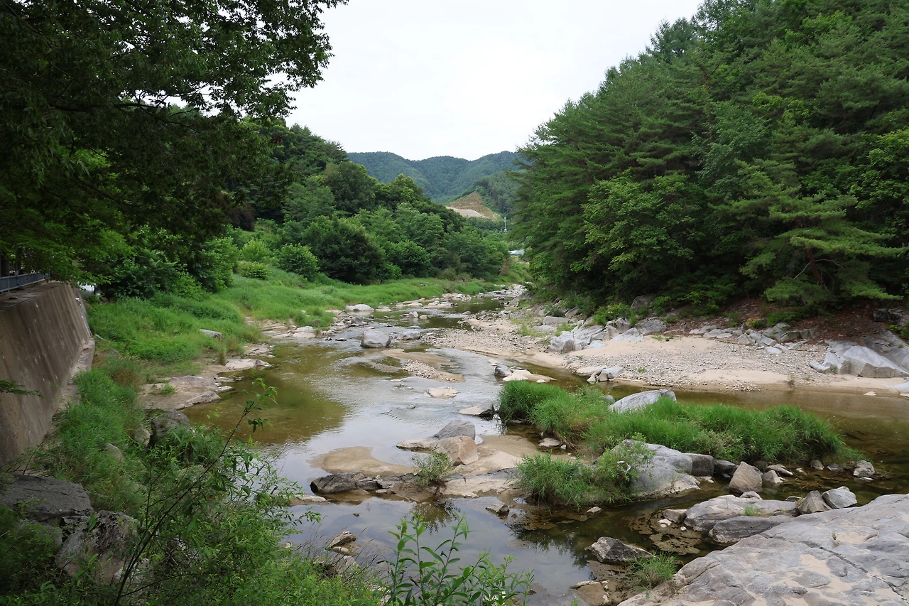 0R5A8608_новый размер.JPG