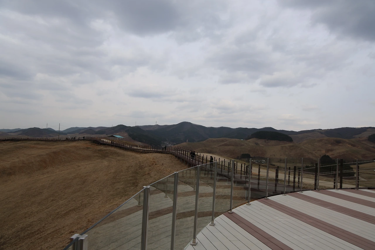 0R5A2822_новый размер.JPG