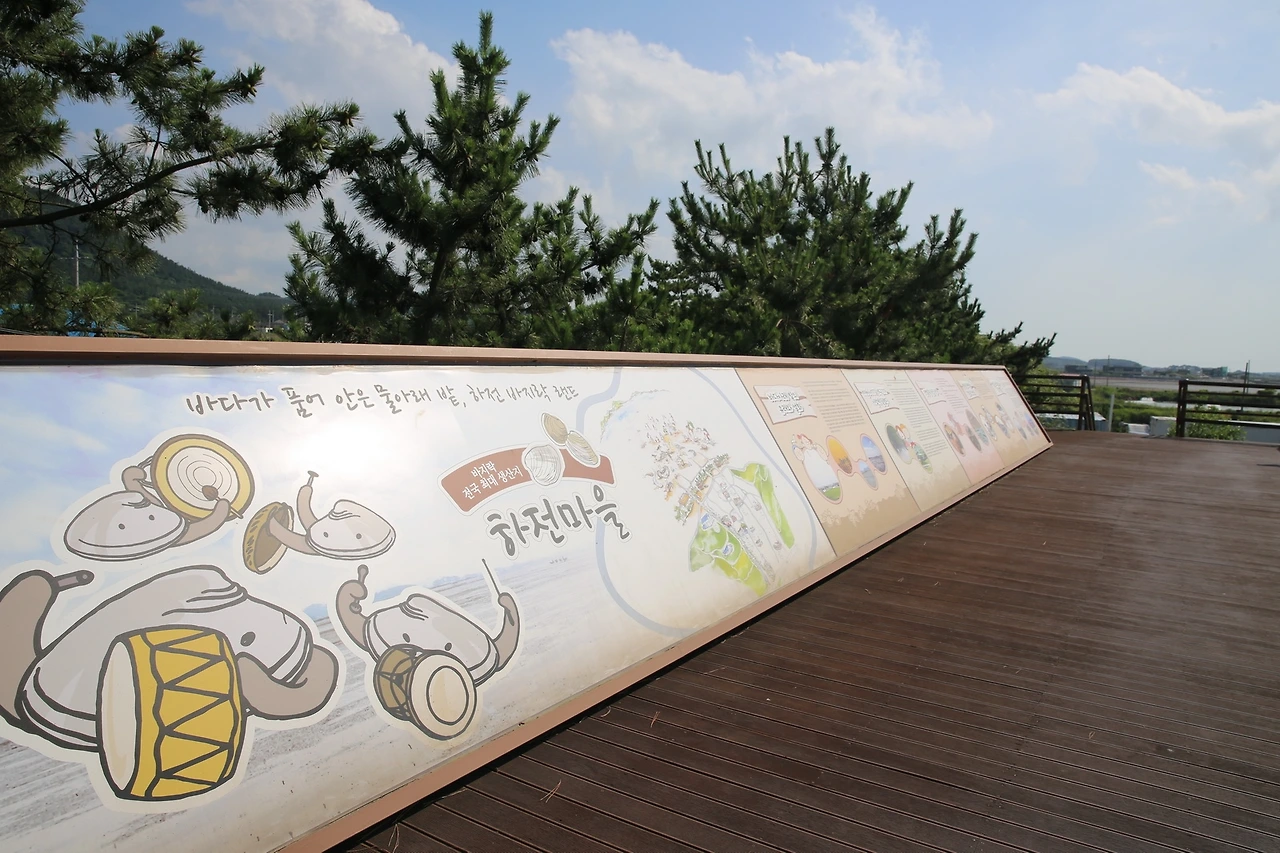 MG0A4587_новый размер.JPG