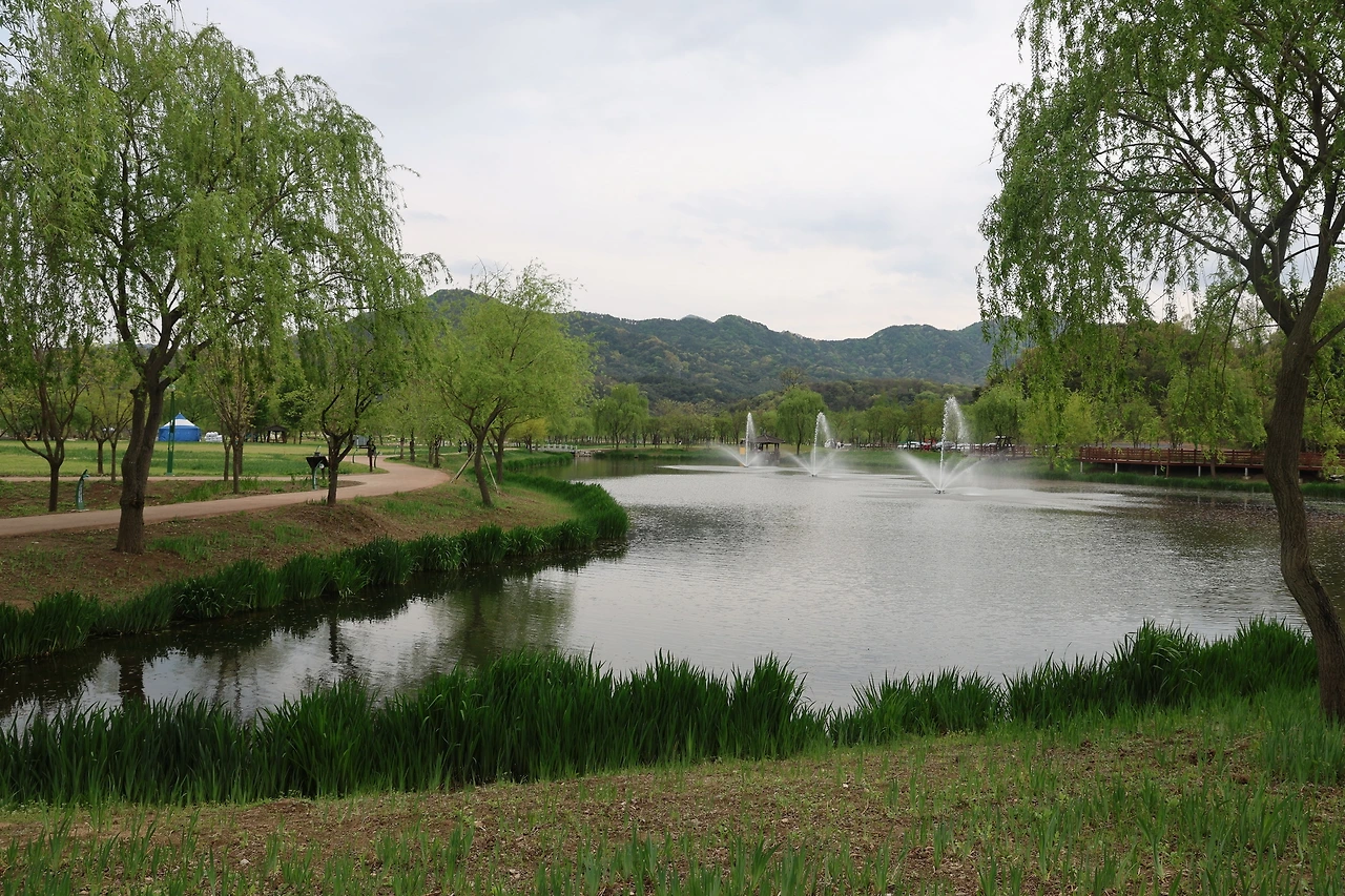 0R5A7557_новый размер.JPG