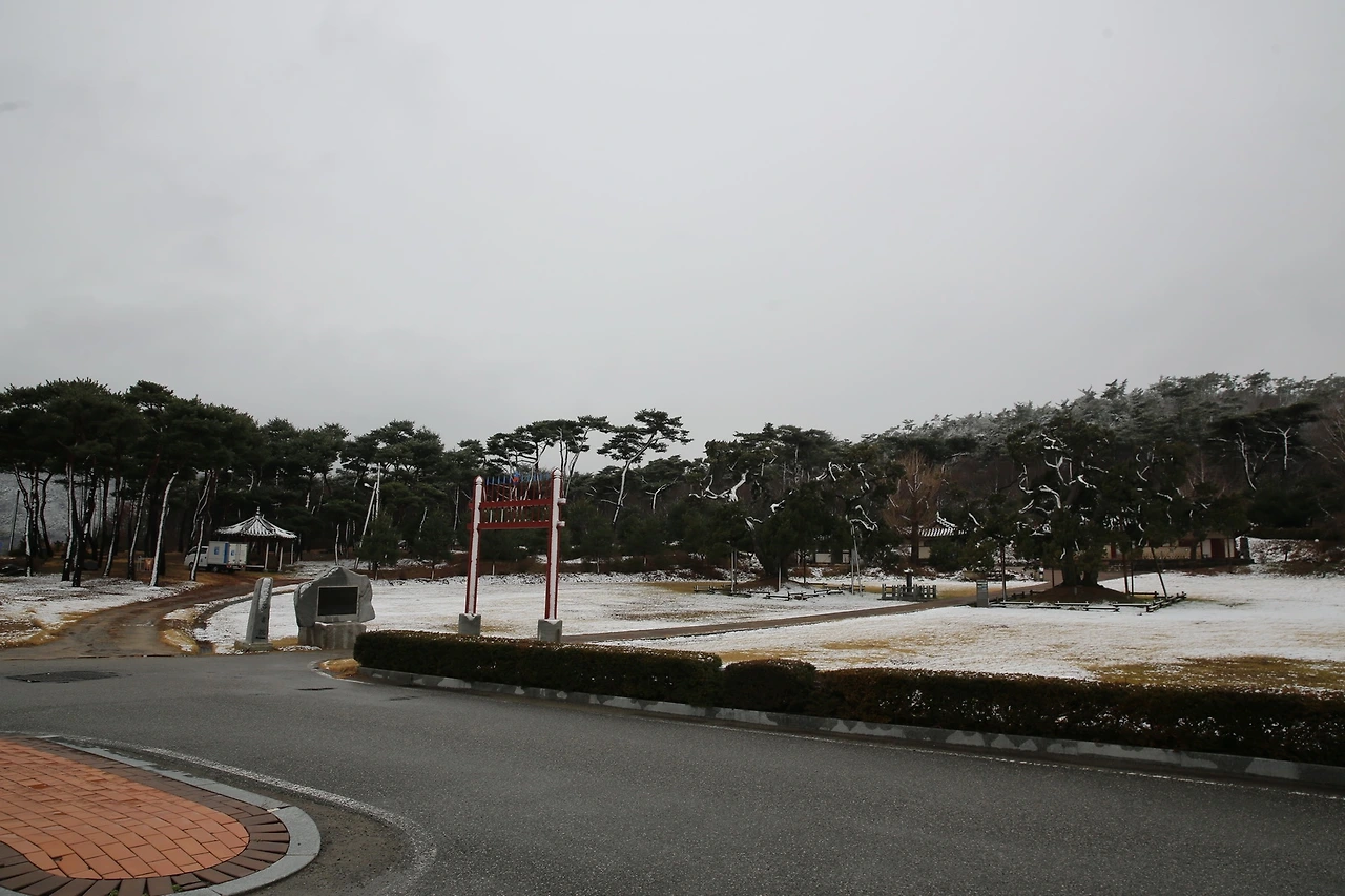 MG0A0634_новый размер.JPG