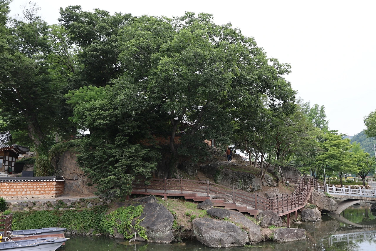 0R5A4367_новый размер.JPG