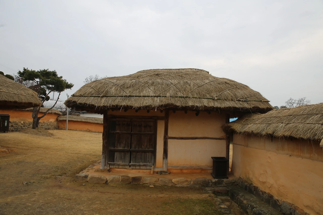 MG0A9095_новый размер.JPG