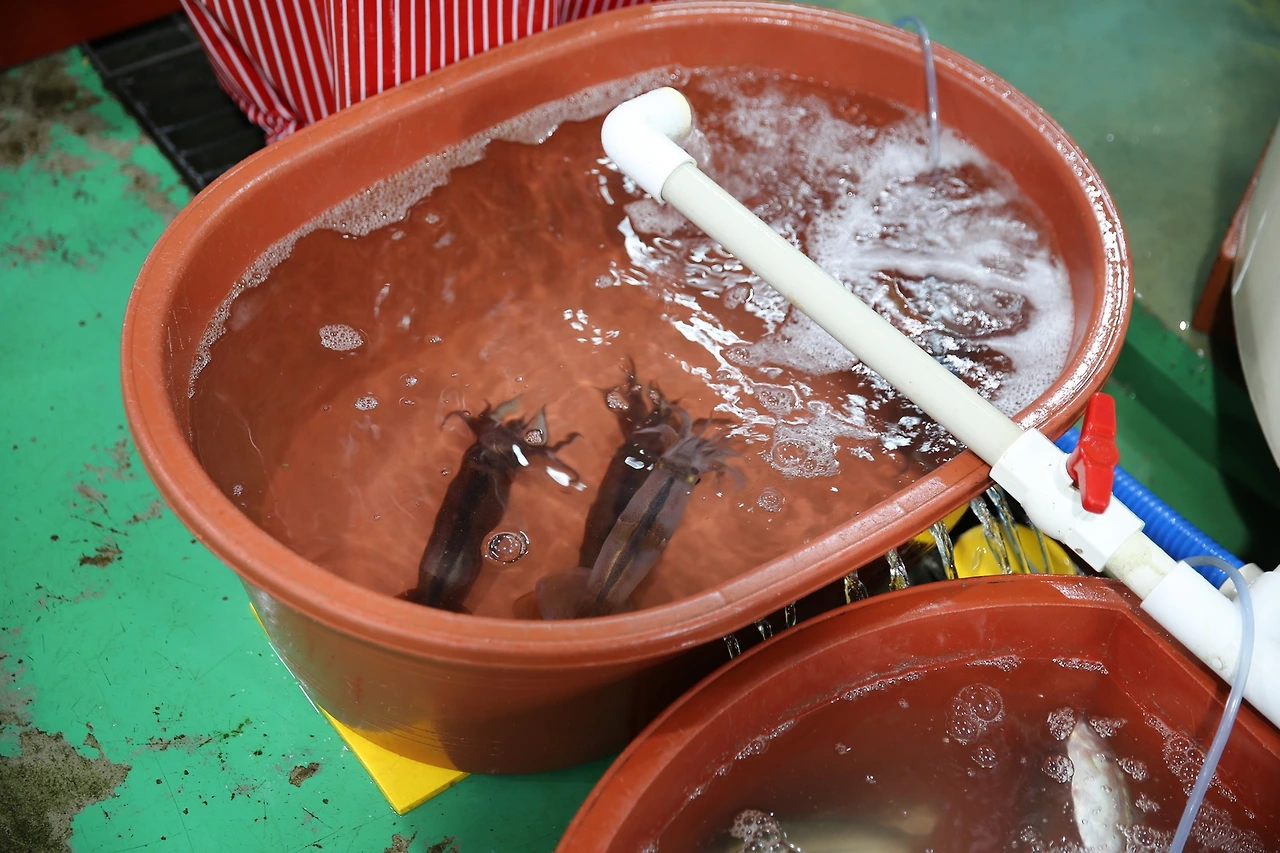 서산 삼길포04.JPG