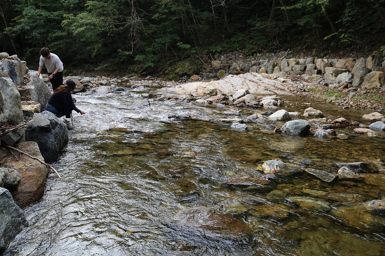 MG0A3945_новый размер.JPG